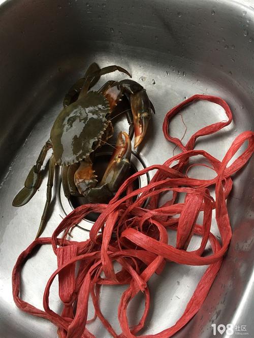 一个青蟹绑三米多长的绳子,真不知道是买螃蟹还是买绳子了