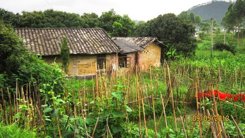广西农村的早晨
