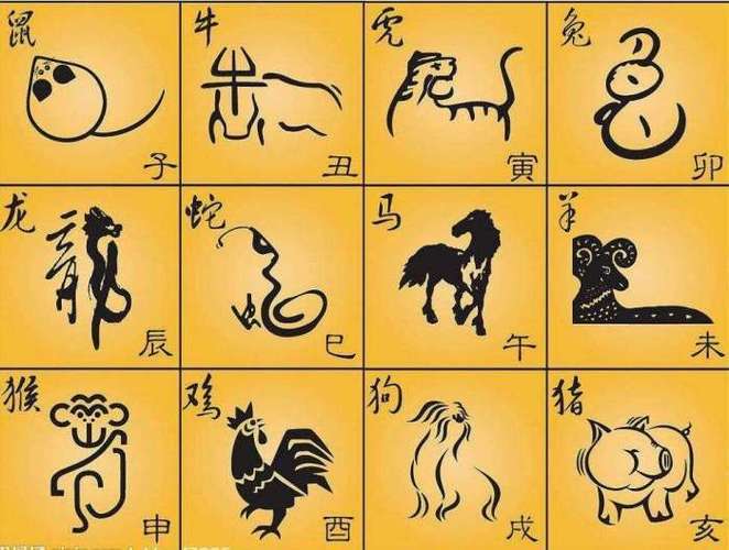 "十二生肖"的阴阳属性,其实和爪子有关,如何划分的