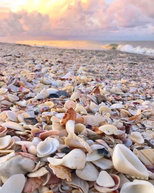 贝壳沙滩感觉好运撒了一地