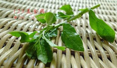 麻酱凉拌枸杞苗