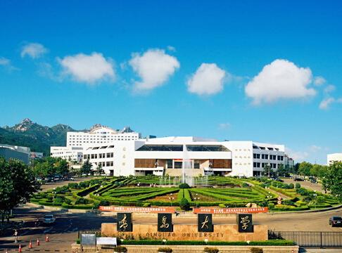 青岛大学mpacc中心