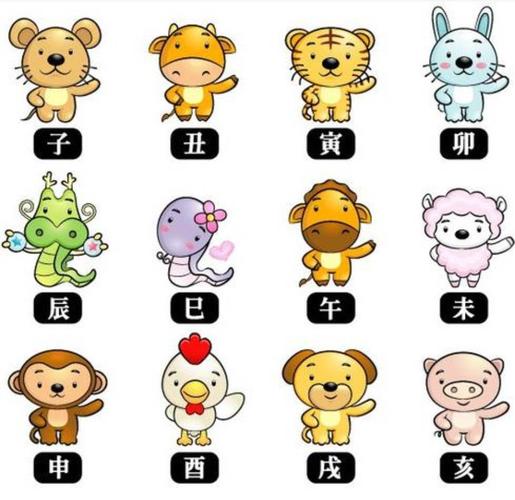 十二生肖排序