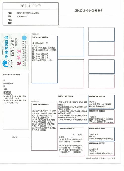 龙翔轩 - 中信网铭鸽展厅 www.ag188.com