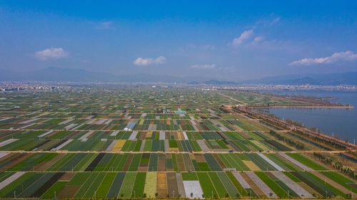 这是云南省玉溪市通海县的田园风光(3月4日摄,无人机照片).