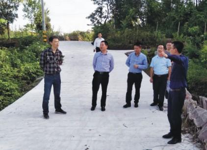 武胜县委调研金牛镇村道建设