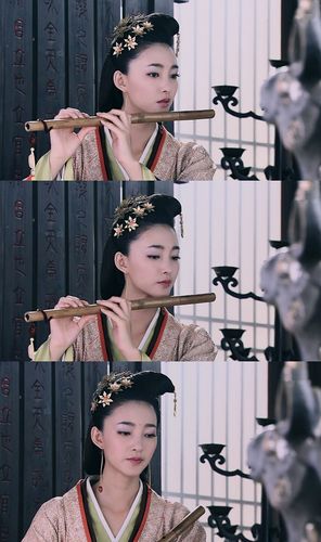 《美人心计》 聂慎儿 【王丽坤】