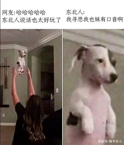 搞笑图片:噗哈哈哈,东北人说话也太好玩了吧!