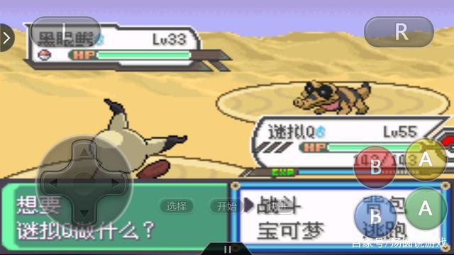 口袋妖怪:流氓鳄配合这个特性,真的很"流氓"!怪不得小智喜欢