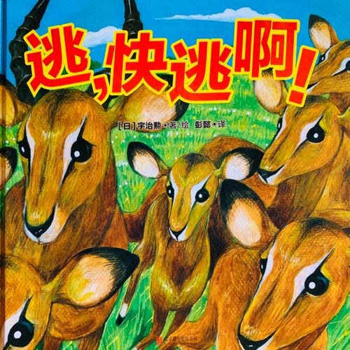 绘本故事逃快逃啊适合57岁34岁
