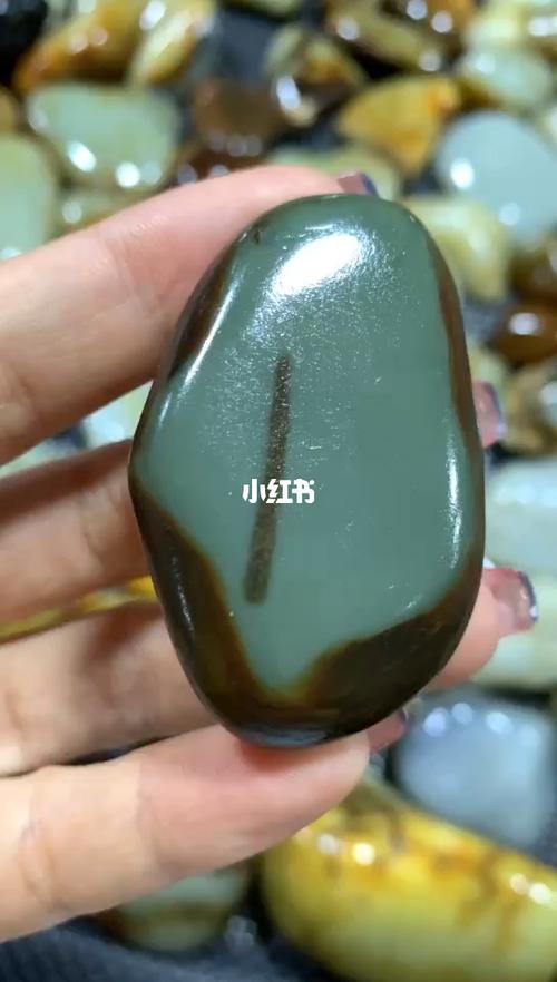 纯正红皮沙枣青