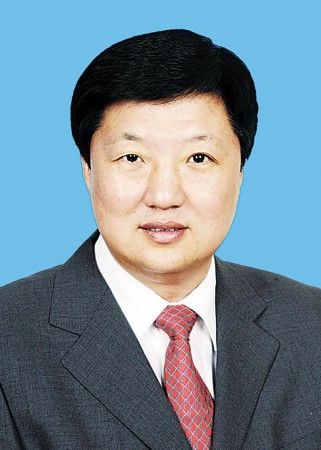 全国人大代表,哈尔滨市政府市长宋希斌(资料图)