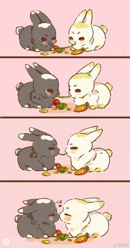 忘羡(61085161081010)72⿻* - 堆糖,美图壁纸兴趣