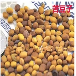 苦豆子 选 产地 内蒙古自治区乌海市海南区