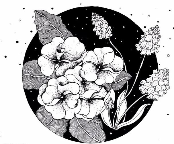 将植物花草画成黑白线描装饰画,漂亮|线描
