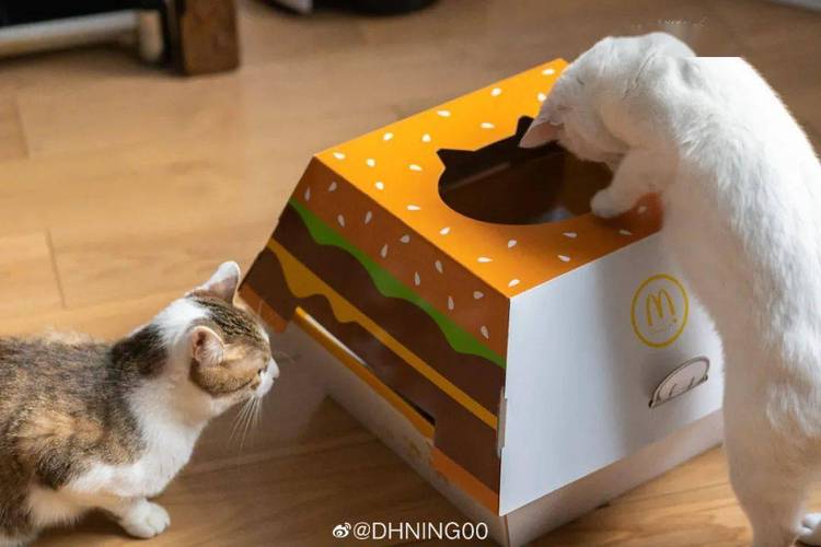 麦当劳【汉堡猫窝】刷屏!网友:你看我家狗子有机会吗?