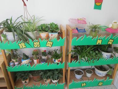 我心中的自然角简笔画