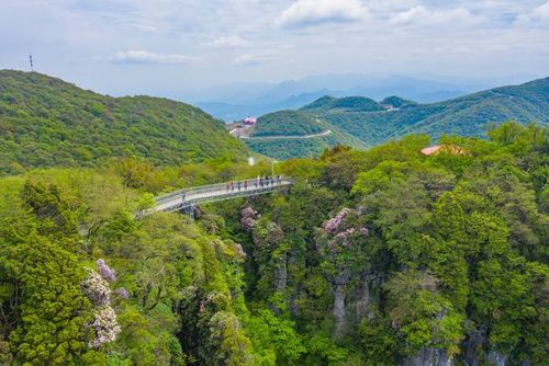 【视觉陕西】汉中市南郑区:天然氧吧 魅力龙头山