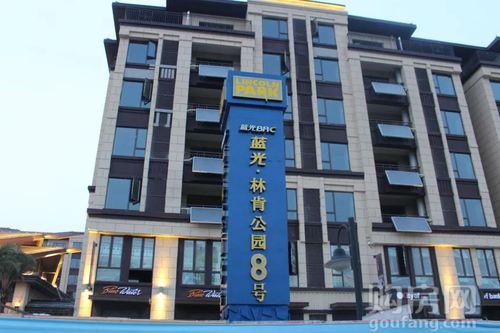 南昌蓝光林肯公园8号楼盘