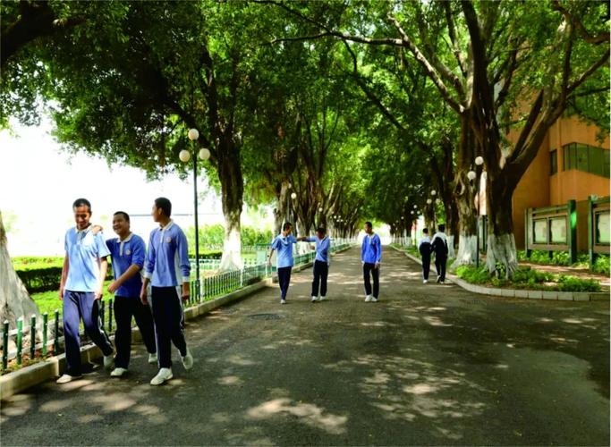 喜讯光明区高级中学2019年高考大文大理亮光芒