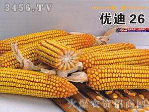 优迪26-玉米种子-鸿翔种业