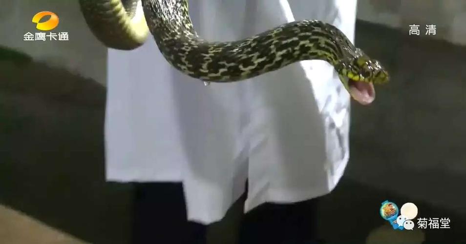 【湖南卫视——童趣大冒险来啦】烟台蛇博园邀请你来