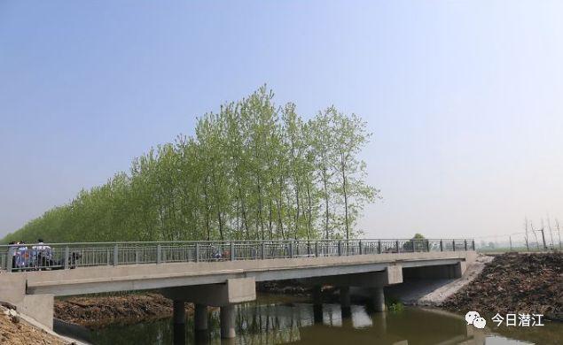 美景之六——返湾湖湿地公园栖息园   "潜马"5000名健康跑运动员完