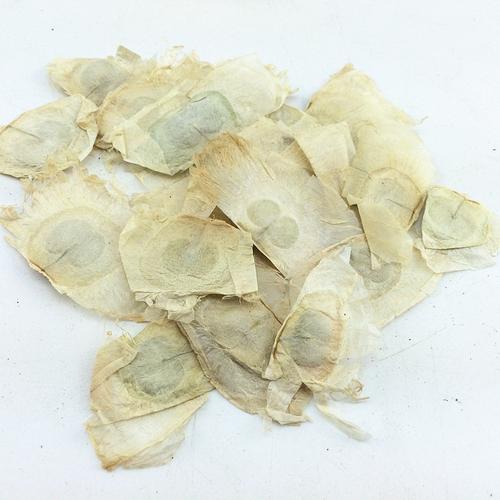 木蝴蝶 玉蝴蝶 满天飞 千层纸冲茶 散装包邮食用农产品初加工
