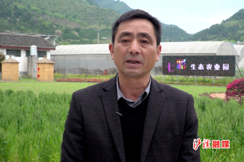 石泽林湘西第一村的掌门人