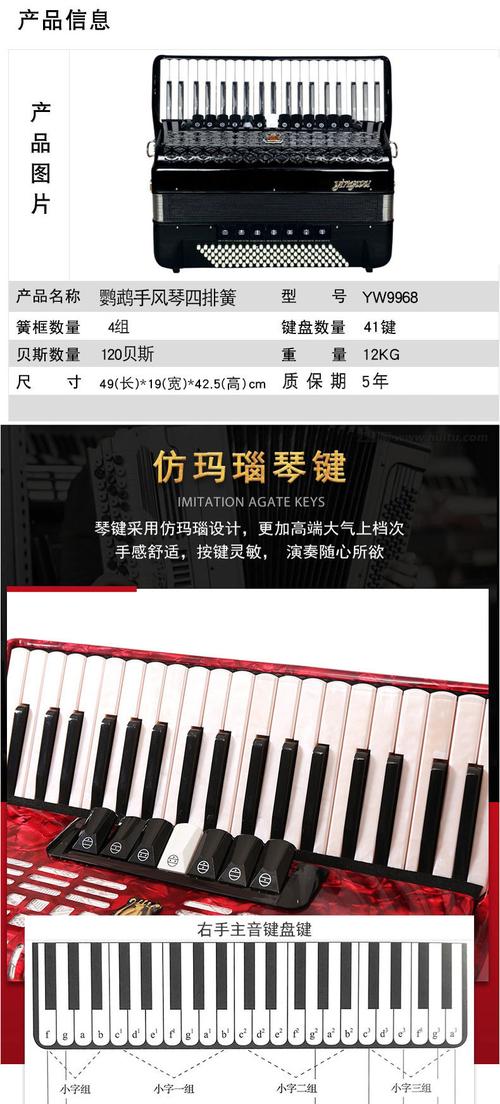 鹦鹉yw9968手风琴考级演奏初学手风琴120贝斯四排簧手风琴