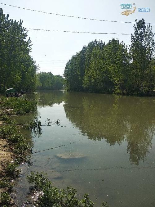 西安洨河湿地公园野钓乐趣多多 - 陕西,宁夏钓鱼网