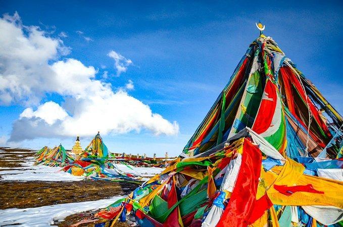 每次看到一排排的隆达,我都有种被