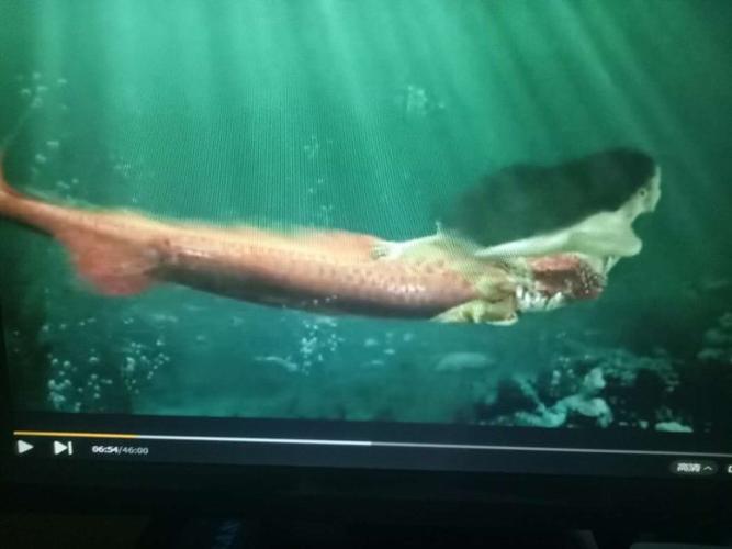 上下图为深圳卫视直播港澳台主持人童頔
