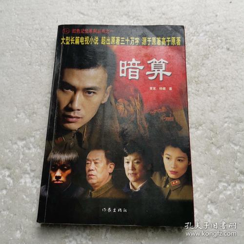 暗算---[id:394307][%#215b8%#]---[中图分类法][!i247.