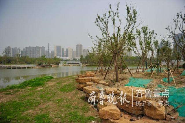 连通大明湖小清河,济南云锦湖公园惊艳初显型!