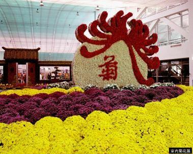 2010中秋花事盛会 北京菊花文化节(二)