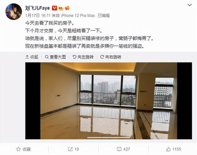 刘飞儿吐槽自购精装房被坑靠卖u盘写真赚了十分之一的房价