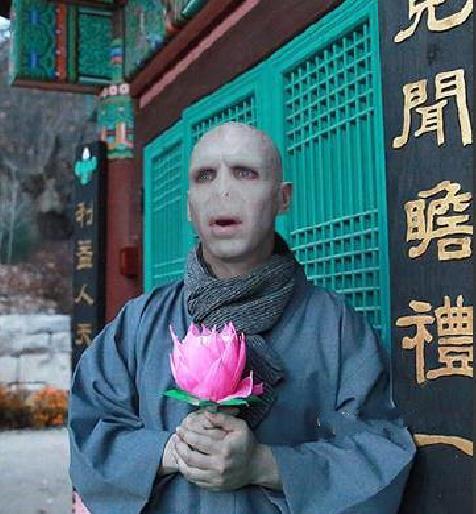 哈利波特系列表情包之伏地魔第一波