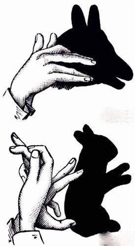 摄影大师班----【光影】玩转影子,让照片成为作品