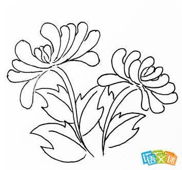 有过程的简笔画