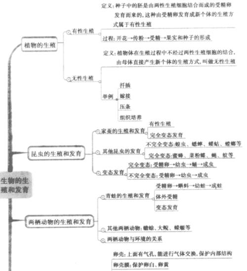 初中生物知识点:植物的有性生殖