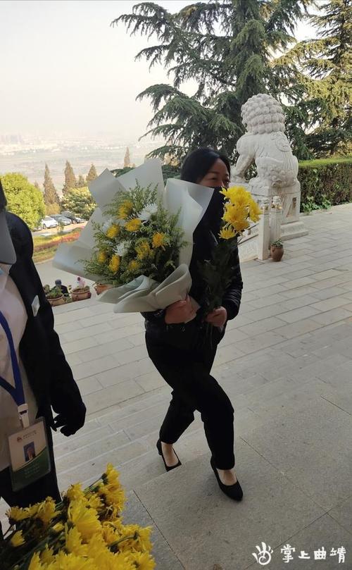 文明祭扫渐入人心,曲靖朗目山公墓出现两个新风尚