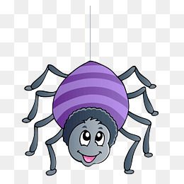 【蜘蛛 插画素材】免费下载_蜘蛛 插画图片大全png-90设计网