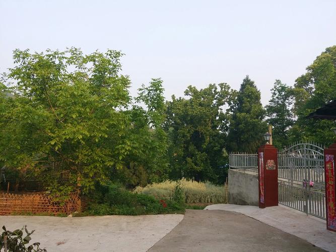 四川省成都市金堂县又新镇金乐路天气预报