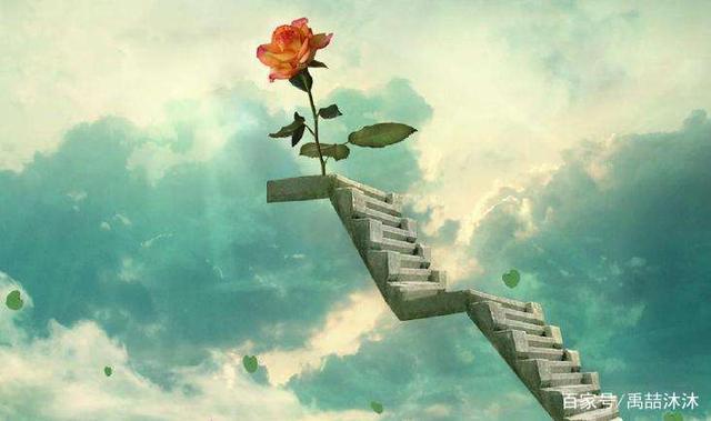 人生的意义,生活的阳光都在哪里