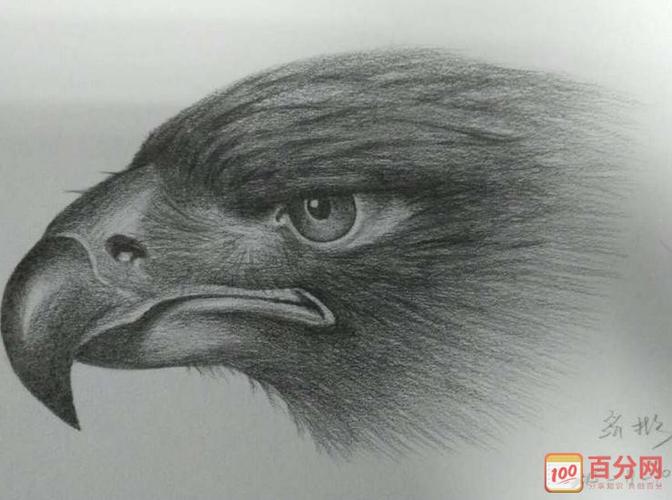 国画素描670彩色铅笔画小动物图片大全-孔雀公主