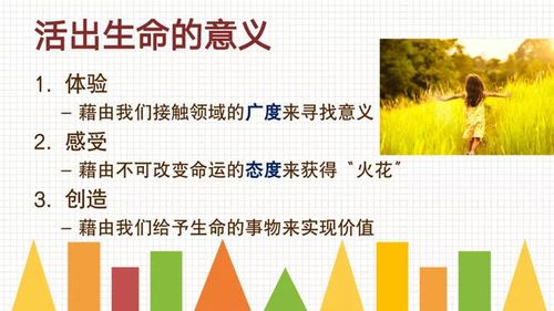 同学们在课堂中以小组形式合作绘制了各自的生命火花图,在