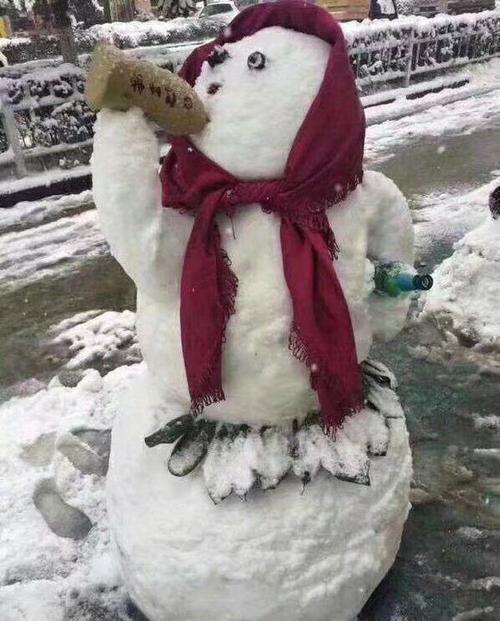 下雪了,最开心的莫过于堆雪人   堆雪人,各有各的创意,真是高手在