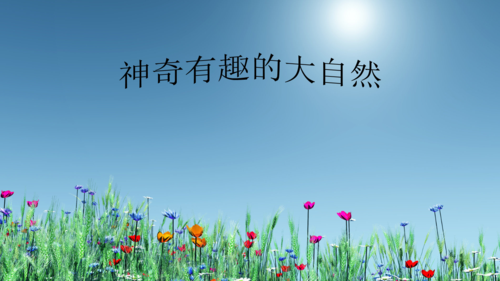 植物的自然现象及原因.pptx