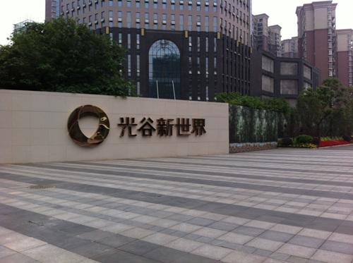 未来社区配套齐全生活无忧(组图)_光谷新世界_看房